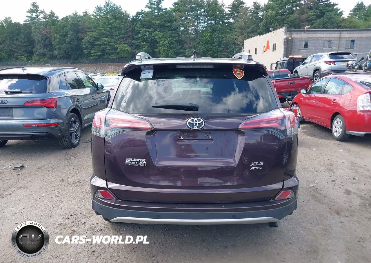 2016 Toyota Rav4 Xle VIN:2T3RFREV0GW415422 - 16