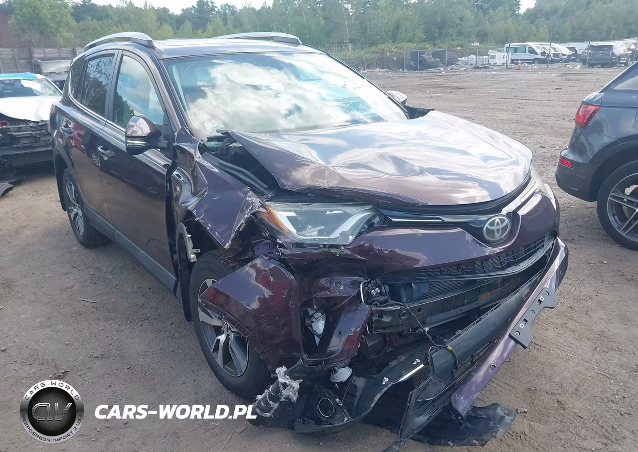 2016 Toyota Rav4 Xle VIN:2T3RFREV0GW415422 - 17