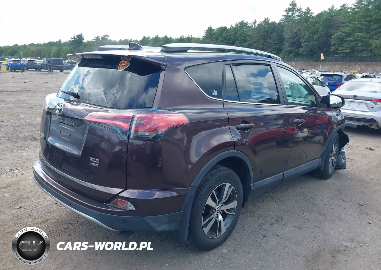2016 Toyota Rav4 Xle VIN:2T3RFREV0GW415422 - 4
