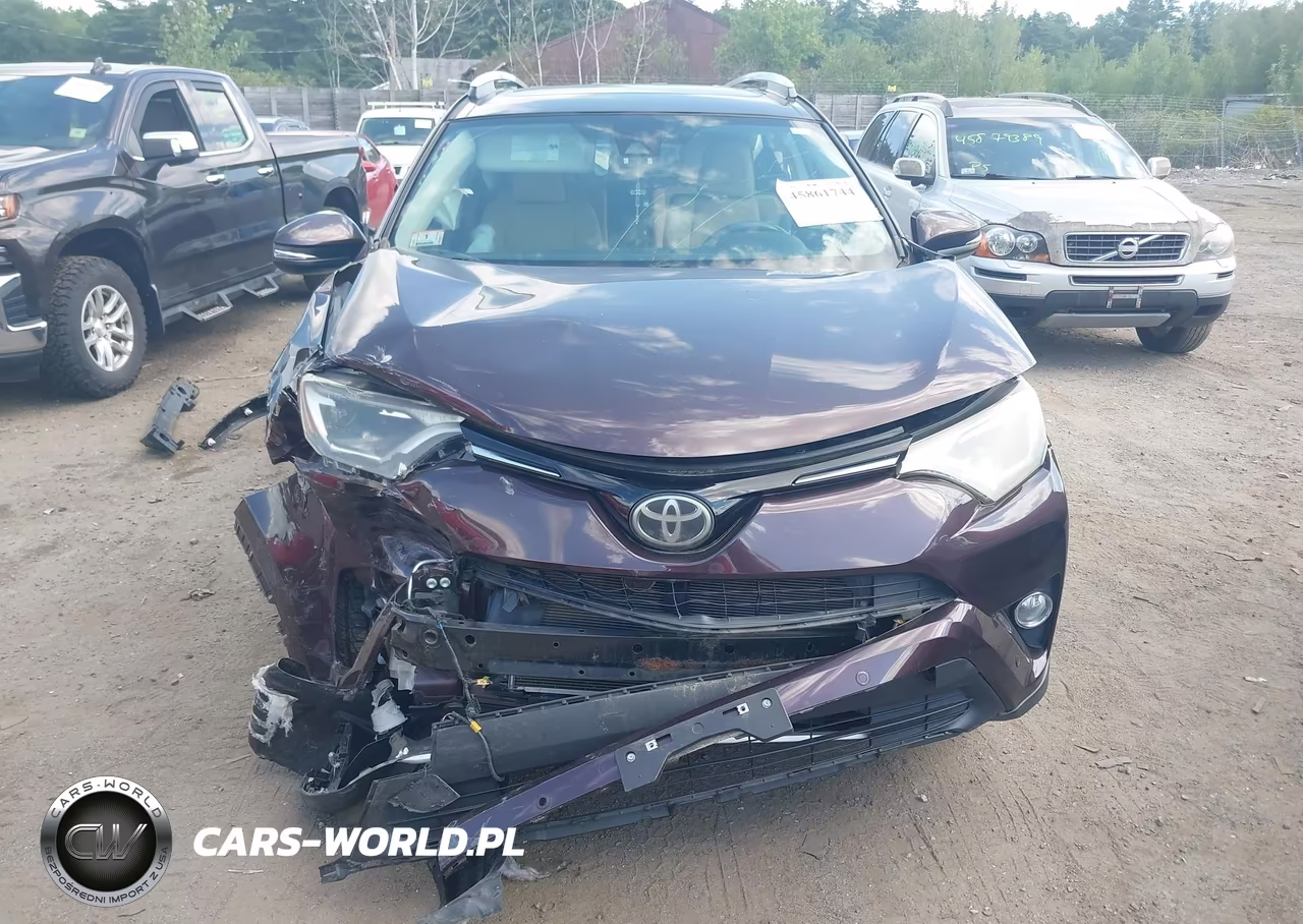 2016 Toyota Rav4 Xle VIN:2T3RFREV0GW415422 - 6