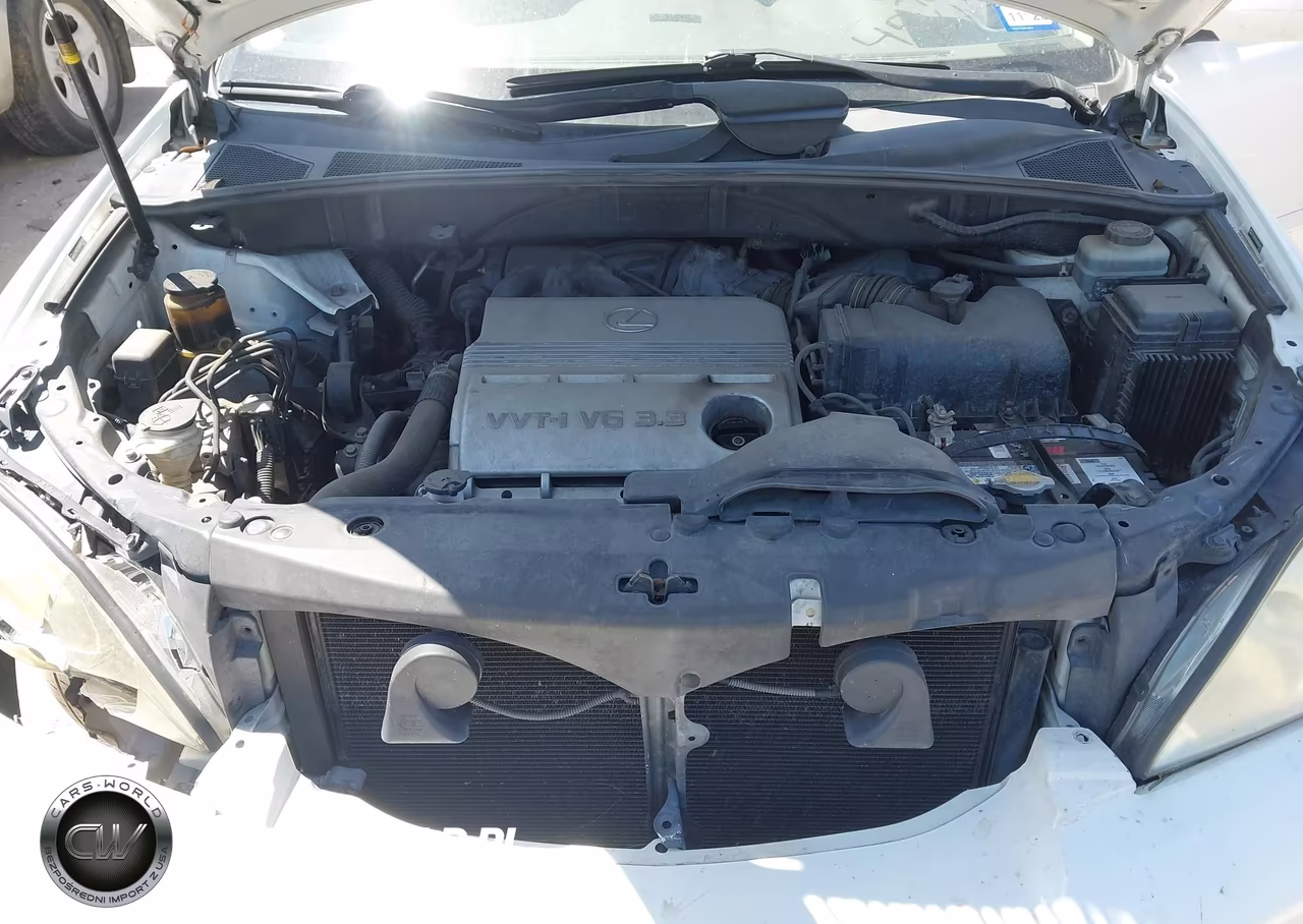 2004 Lexus Rx 330 VIN:JTJGA31U640042920 - 10