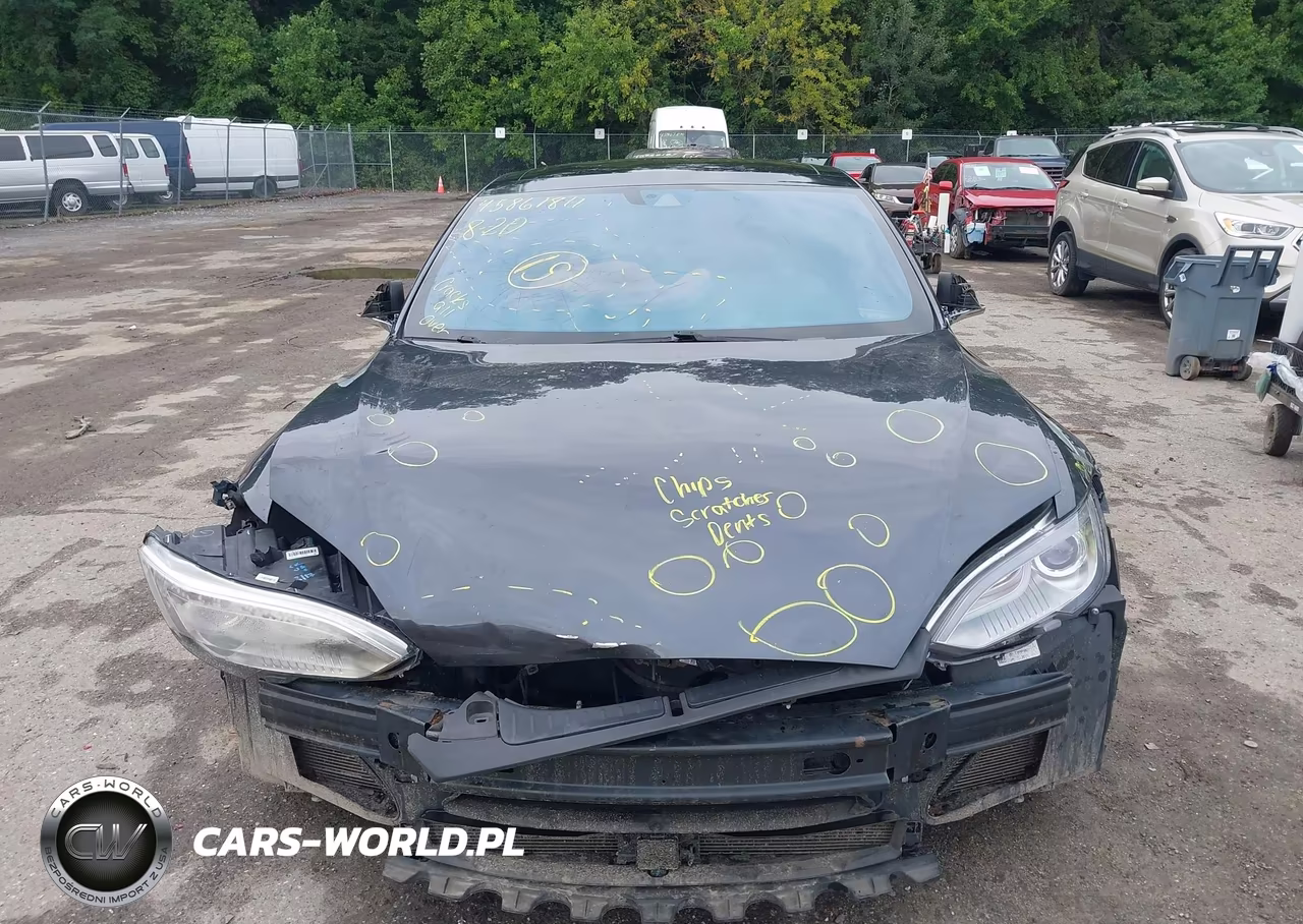 2016 Tesla Model S 60D-70D-75D-85D-90D VIN:5YJSA1E25GF127781 - 11