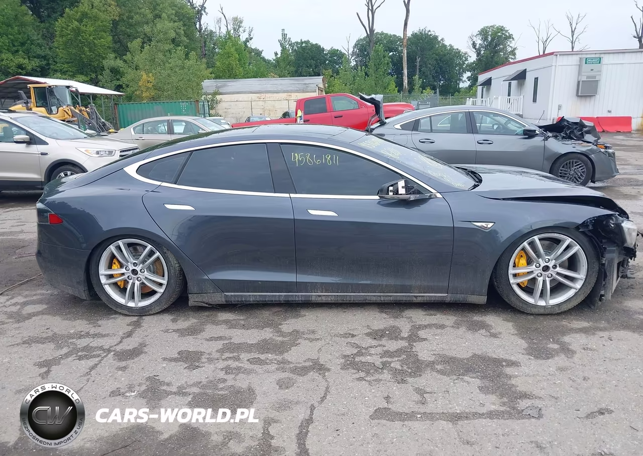 2016 Tesla Model S 60D-70D-75D-85D-90D VIN:5YJSA1E25GF127781 - 12