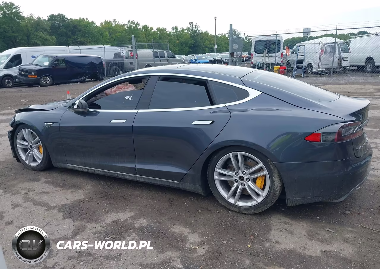 2016 Tesla Model S 60D-70D-75D-85D-90D VIN:5YJSA1E25GF127781 - 13
