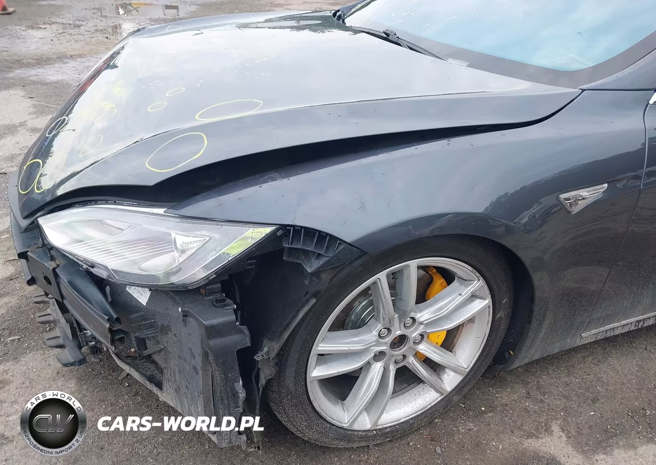 2016 Tesla Model S 60D-70D-75D-85D-90D VIN:5YJSA1E25GF127781 - 6