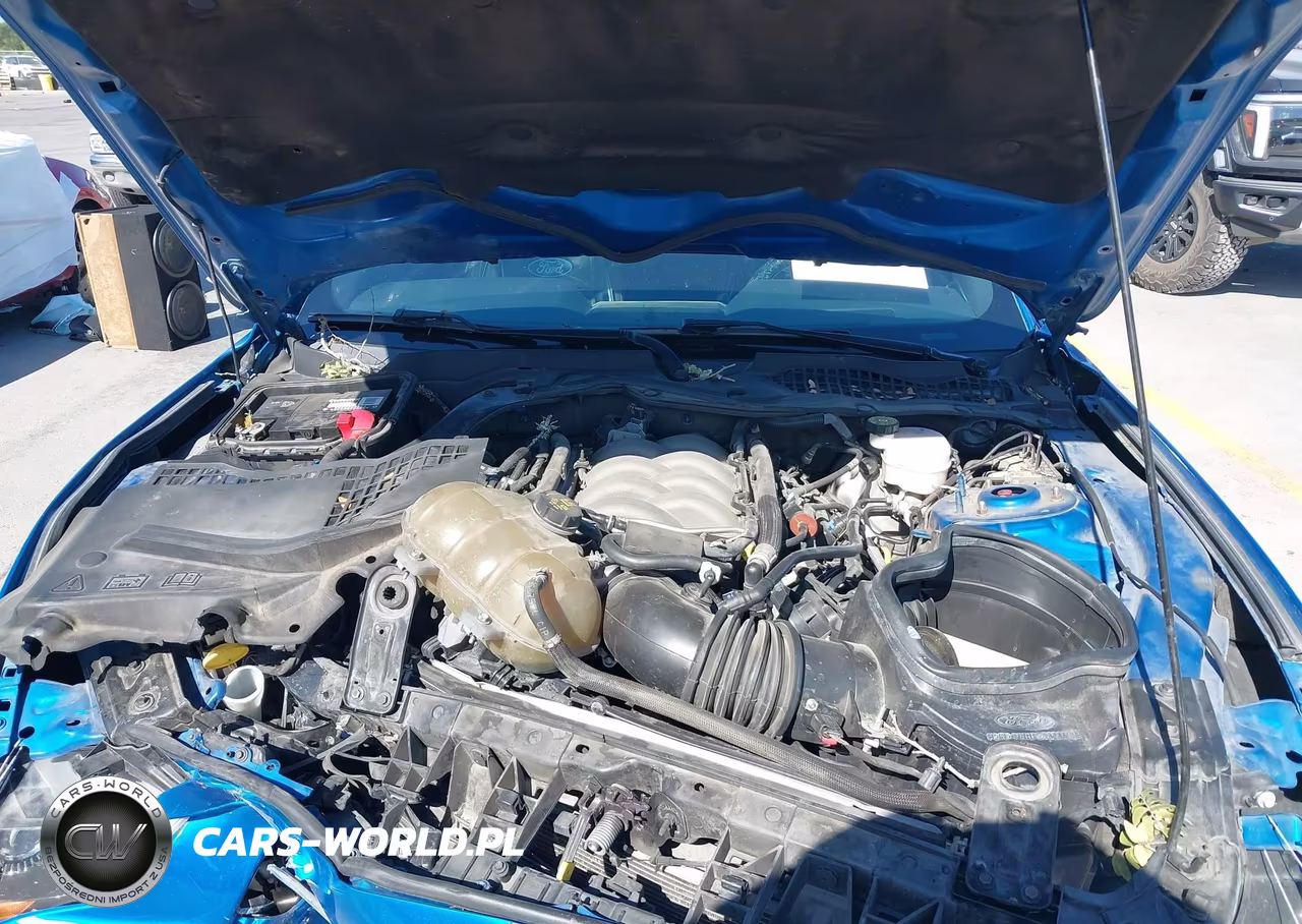 2019 Ford Mustang Gt VIN:1FA6P8CF7K5130180 - 10