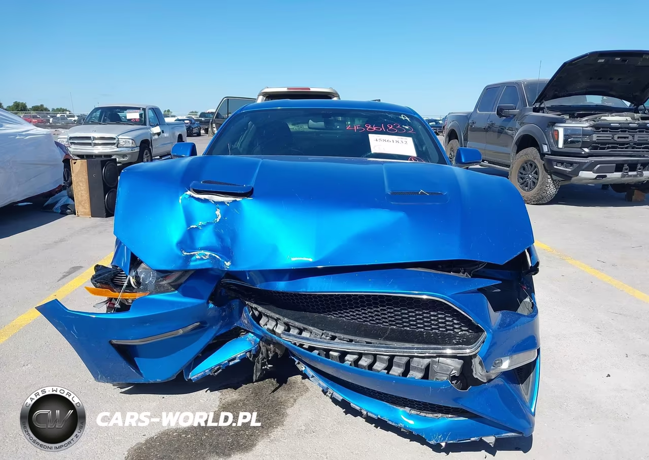2019 Ford Mustang Gt VIN:1FA6P8CF7K5130180 - 13