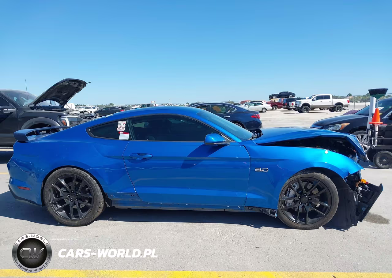 2019 Ford Mustang Gt VIN:1FA6P8CF7K5130180 - 14