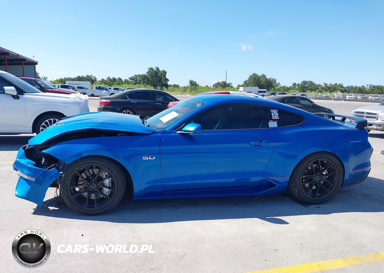 2019 Ford Mustang Gt VIN:1FA6P8CF7K5130180 - 15
