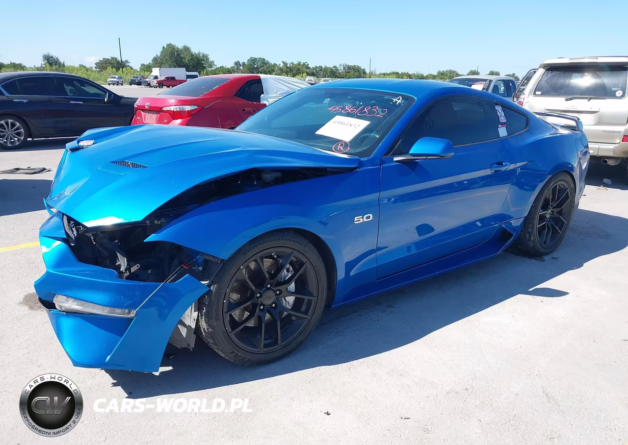 2019 Ford Mustang Gt VIN:1FA6P8CF7K5130180 - 2