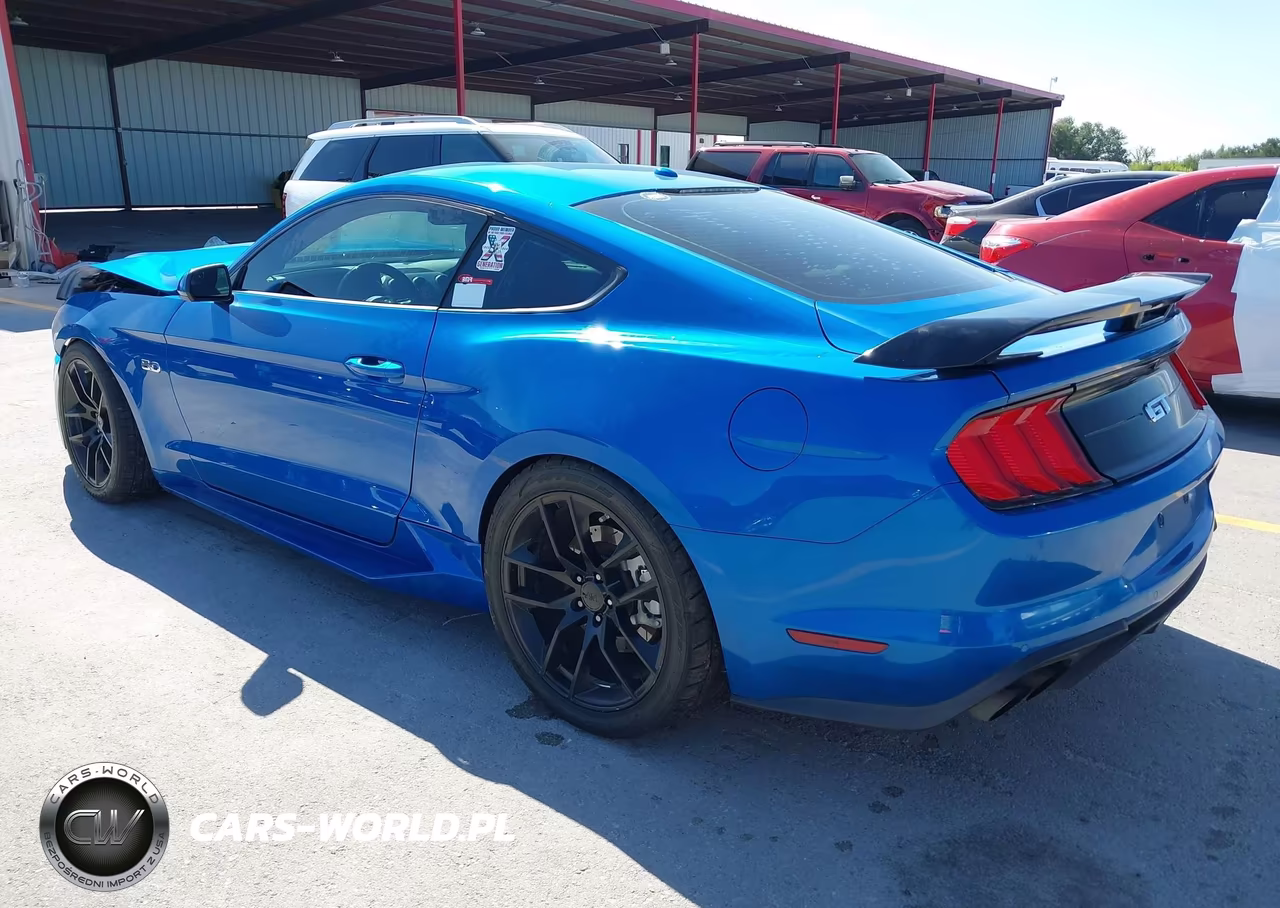 2019 Ford Mustang Gt VIN:1FA6P8CF7K5130180 - 3