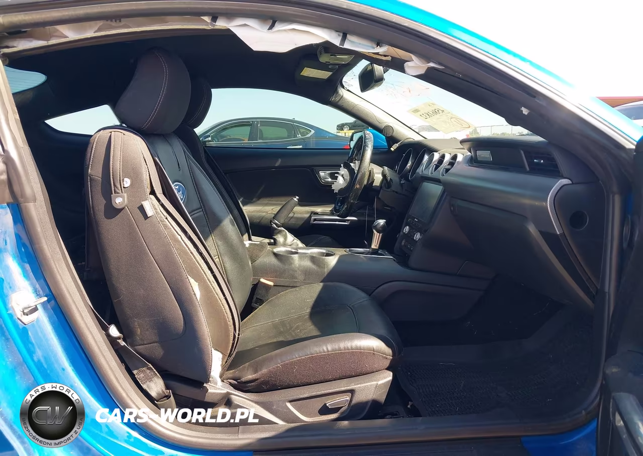 2019 Ford Mustang Gt VIN:1FA6P8CF7K5130180 - 5