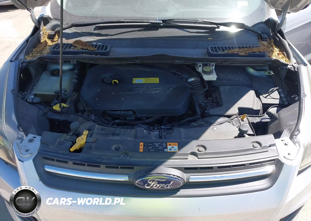 2014 Ford Escape Se VIN:1FMCU0GX9EUB69417 - 10