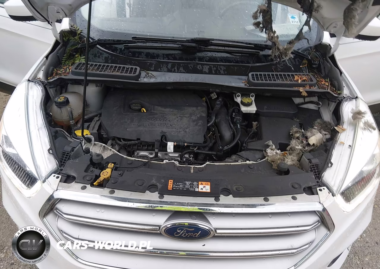2017 Ford Escape Se VIN:1FMCU9GD2HUA89732 - 10