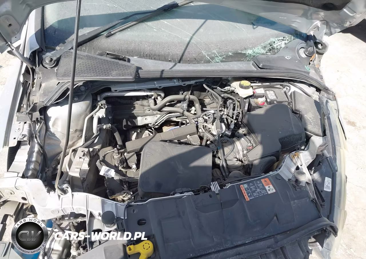 2017 Ford Focus Sel VIN:1FADP3M29HL293942 - 10