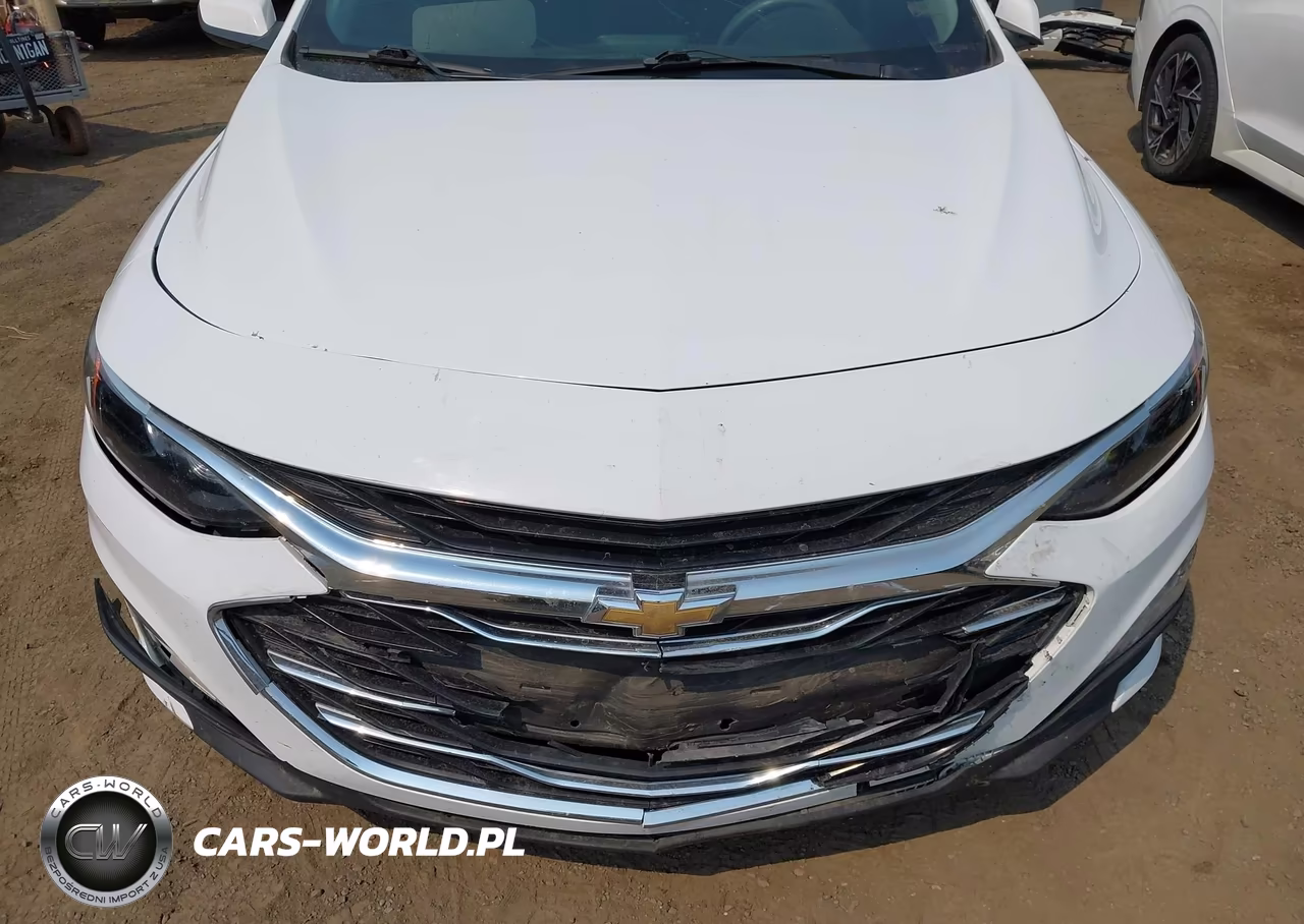 2020 Chevrolet Malibu Fwd Lt VIN:1G1ZD5ST3LF094420 - 17
