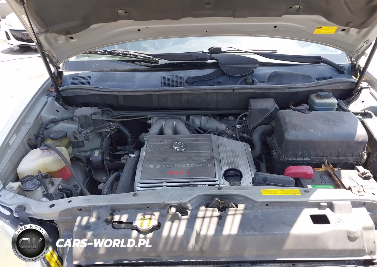2002 Lexus Rx 300 VIN:JTJHF10U520279360 - 10