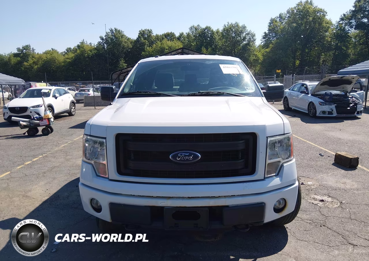 2014 Ford F-150 Stx VIN:1FTEX1EM7EKG39457 - 12