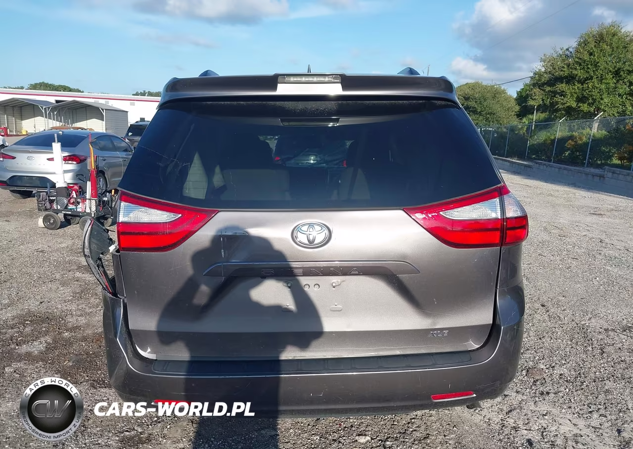 2018 Toyota Sienna Xle 8-Passenger VIN:5TDYZ3DC4JS942498 - 16