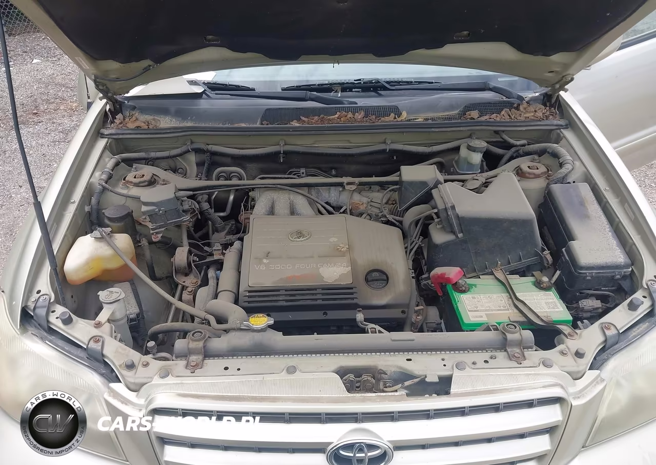 2002 Toyota Highlander V6 VIN:JTEHF21A220086477 - 10