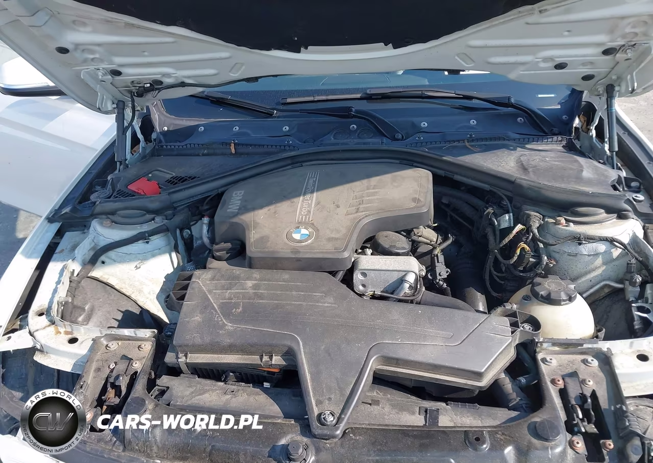 2014 BMW 320I xDrive VIN:WBA3C3G5XENR25691 - 10