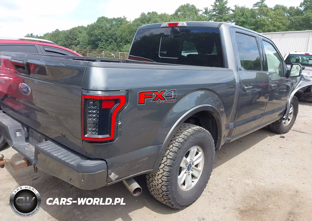 2016 Ford F-150 Xlt VIN:1FTEW1EG0GFD60974 - 4
