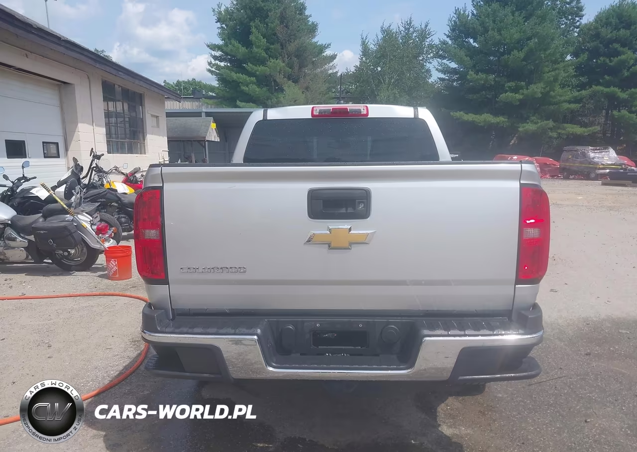2016 Chevrolet Colorado 4Wd Wt VIN:1GCGTBE34G1245148 - 17