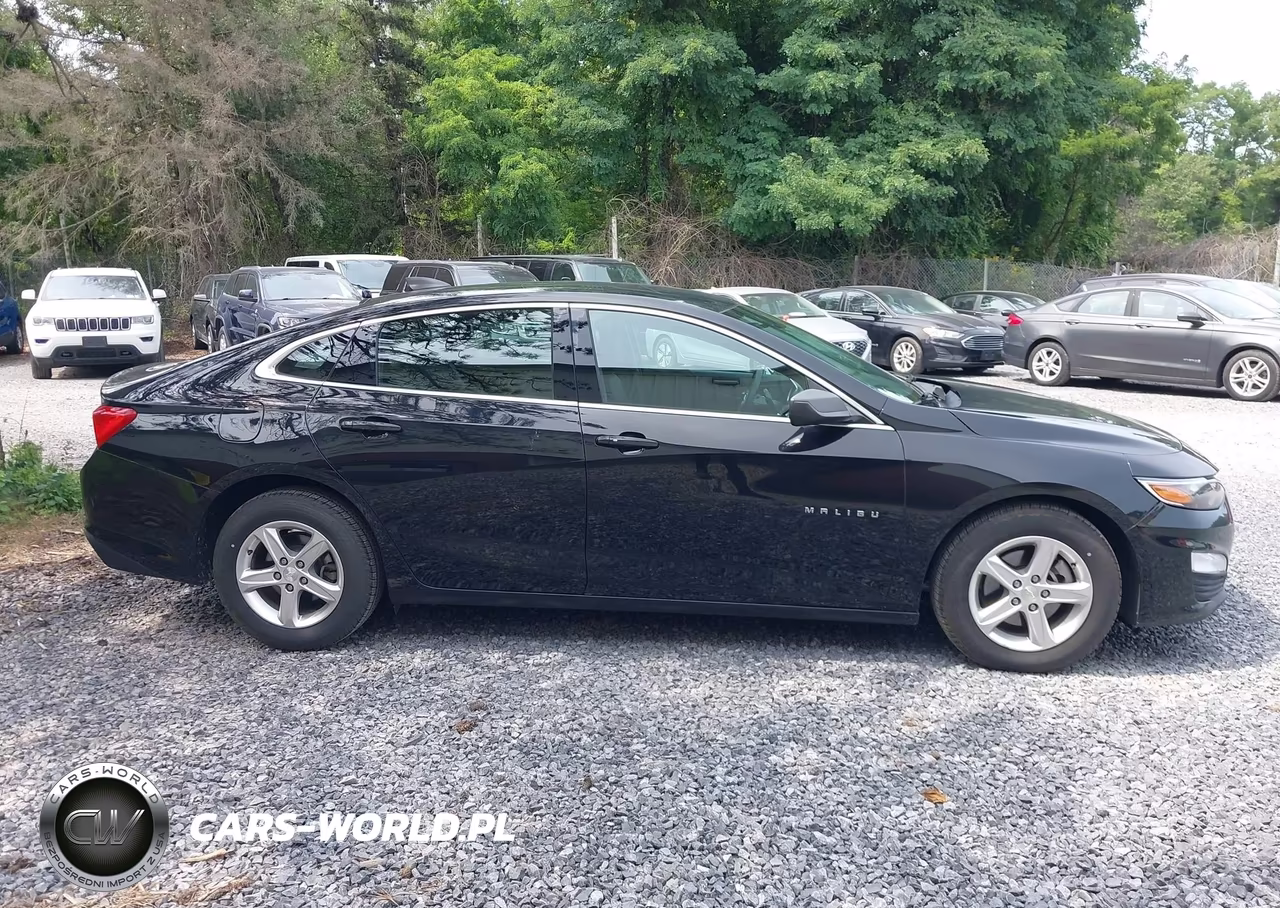 2020 Chevrolet Malibu Fwd 1Fl VIN:1G1ZC5ST0LF137999 - 16