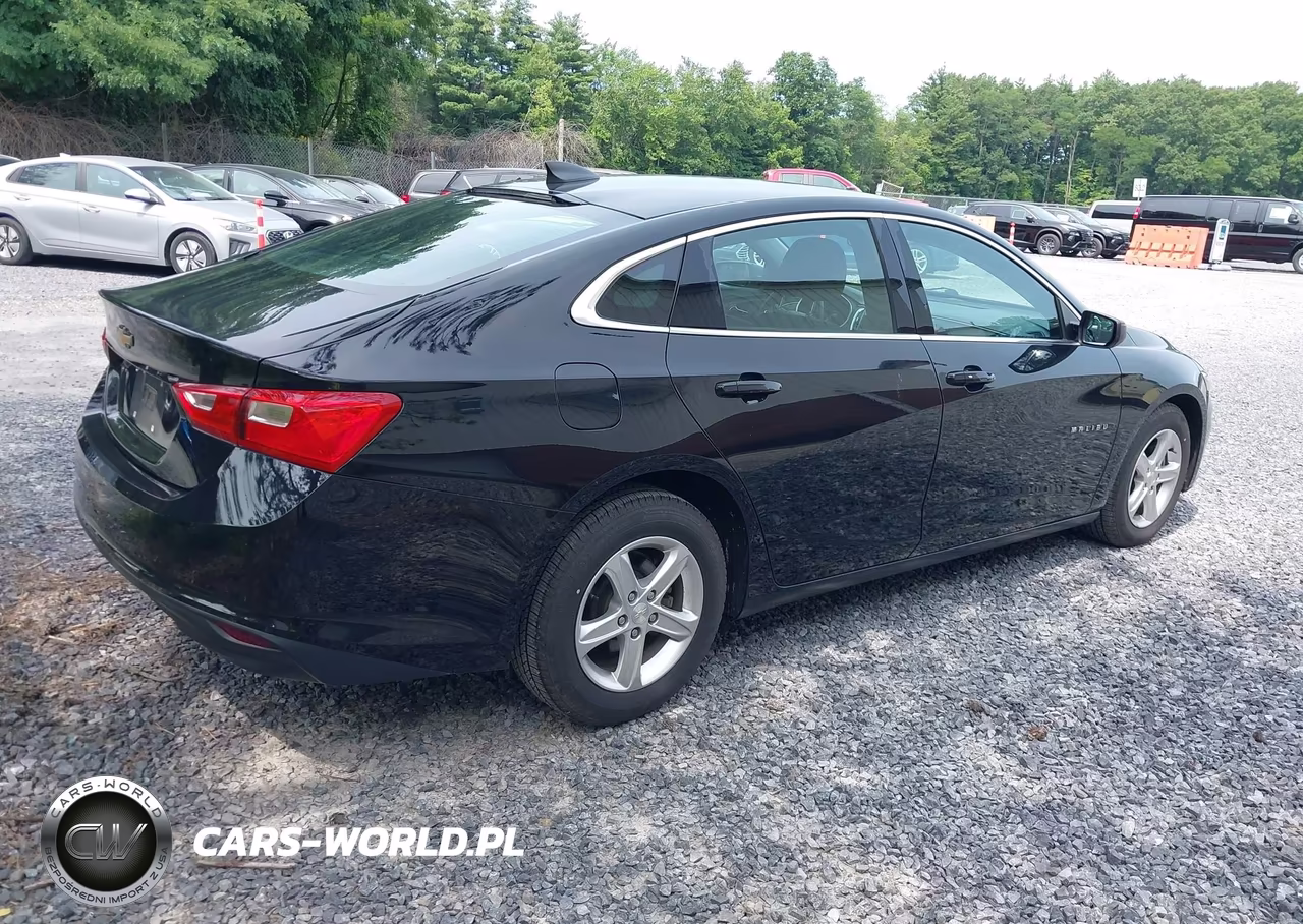 2020 Chevrolet Malibu Fwd 1Fl VIN:1G1ZC5ST0LF137999 - 4