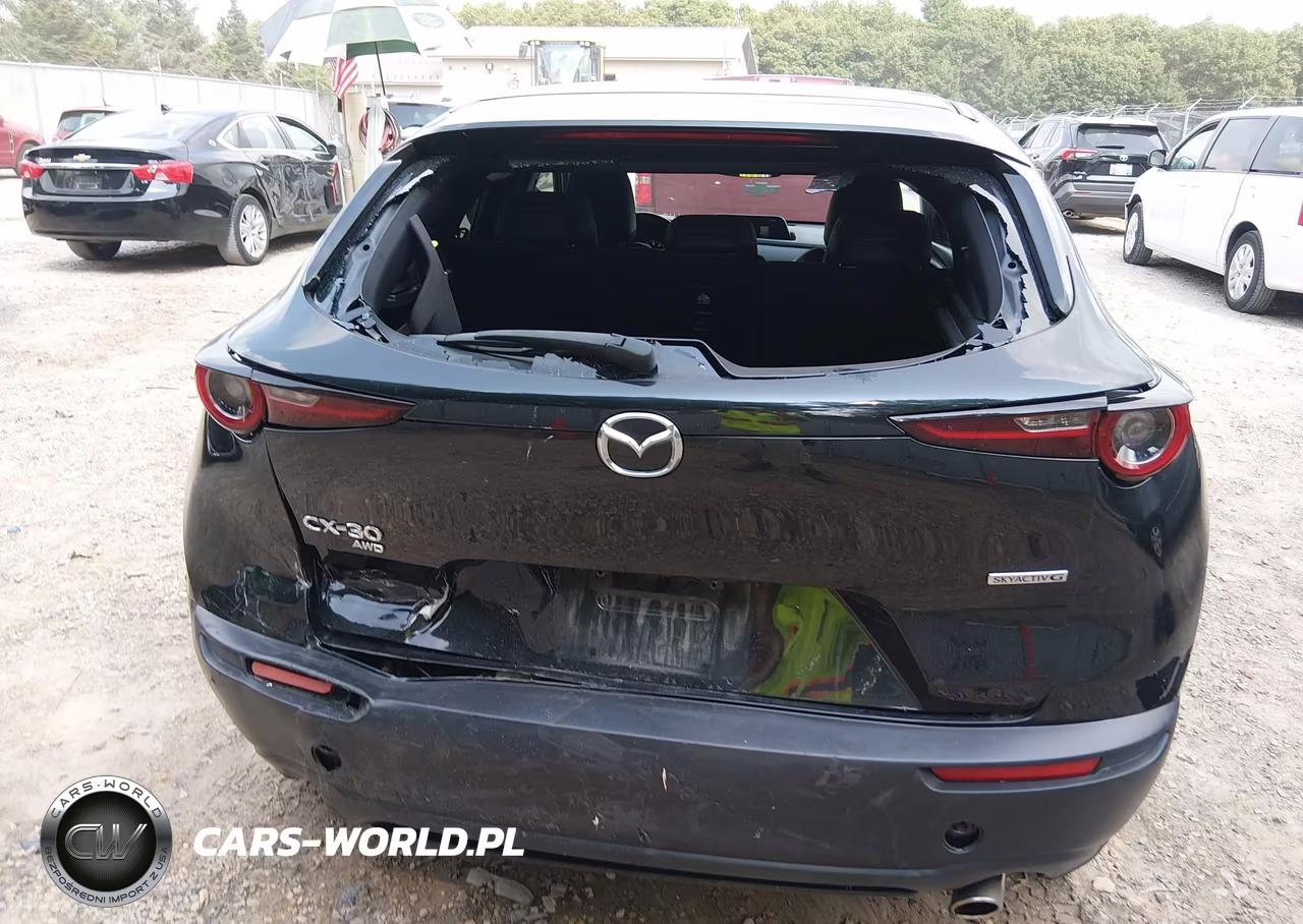 MAZDA CX-30 VIN:3MVDMBBM9RM630979 - 16