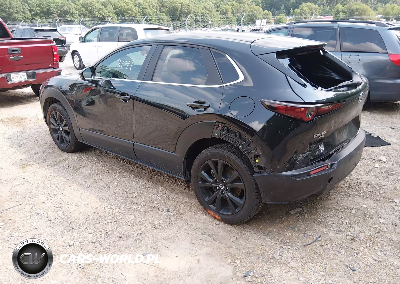 MAZDA CX-30 VIN:3MVDMBBM9RM630979 - 3