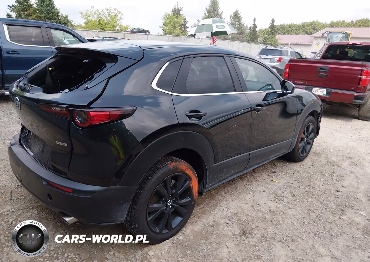 MAZDA CX-30 VIN:3MVDMBBM9RM630979 - 4