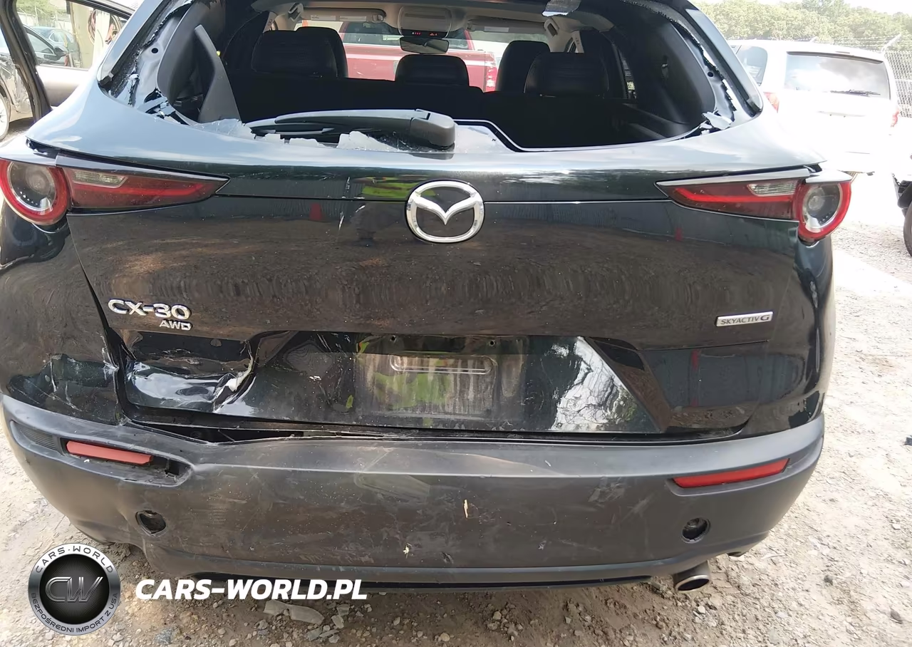 MAZDA CX-30 VIN:3MVDMBBM9RM630979 - 6