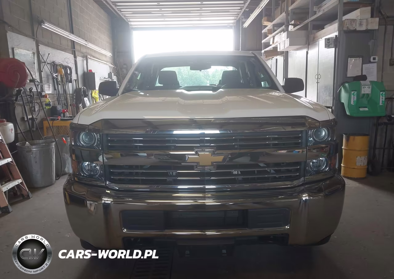 2017 Chevrolet Silverado 2500Hd Work Truck VIN:1GC2KUEG2HZ323652 - 12