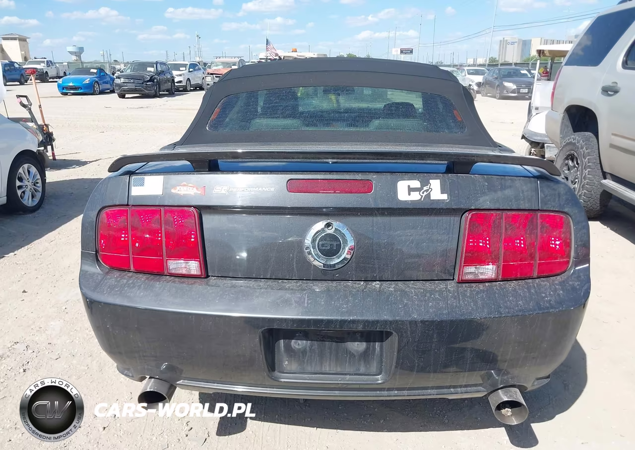 2007 Ford Mustang Gt Deluxe-Gt Premium VIN:1ZVFT85H275244628 - 17