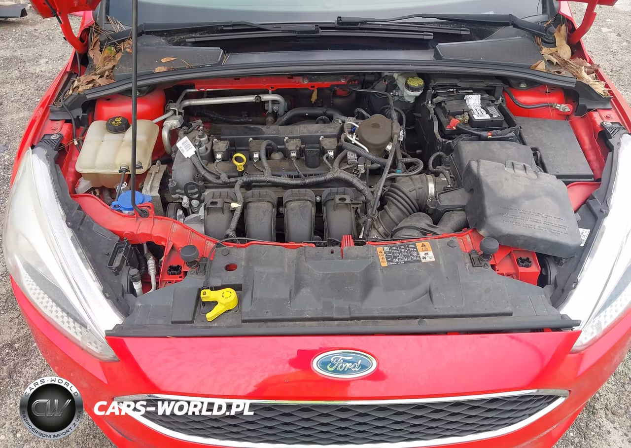 2015 Ford Focus Se VIN:1FADP3K26FL291825 - 10