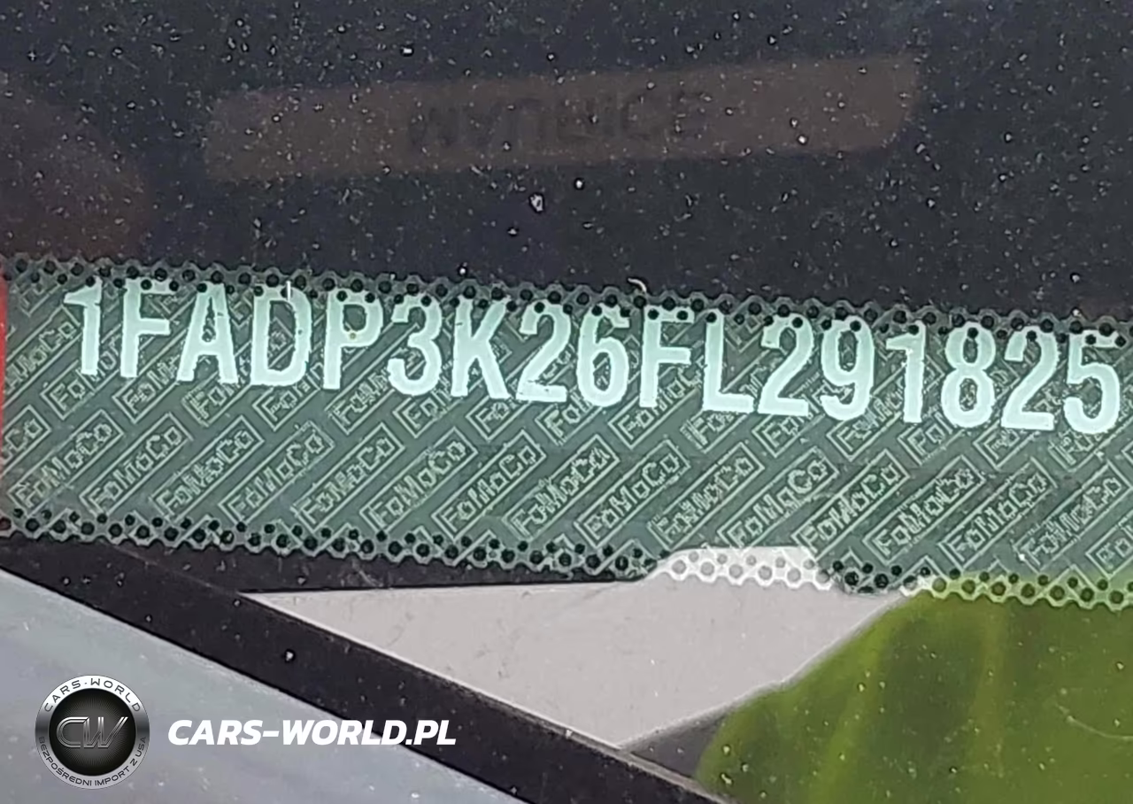 2015 Ford Focus Se VIN:1FADP3K26FL291825 - 13