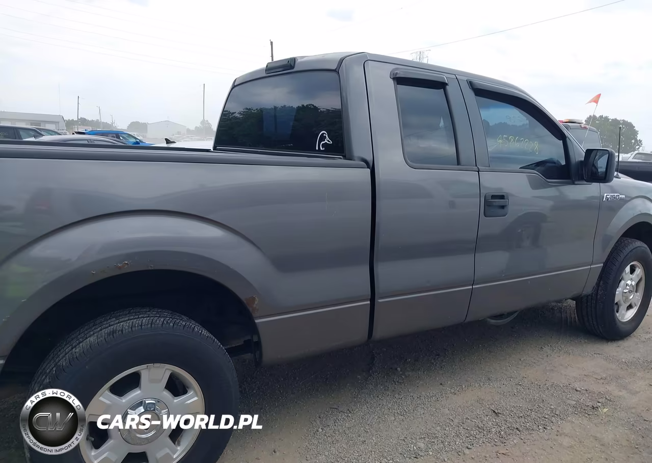 2010 Ford F-150 Stx-Xl VIN:1FTEX1CW9AKE47648 - 13