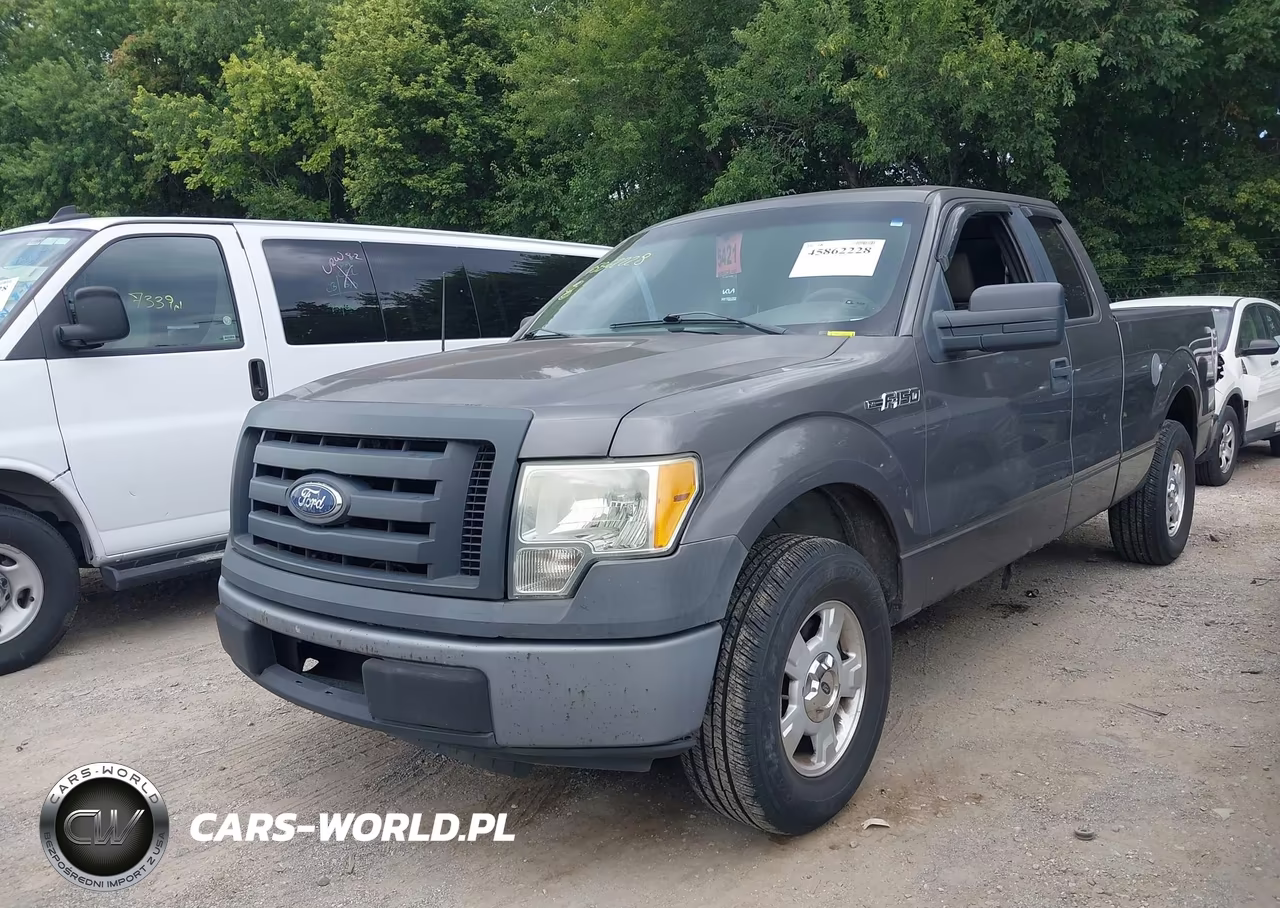 2010 Ford F-150 Stx-Xl VIN:1FTEX1CW9AKE47648 - 2