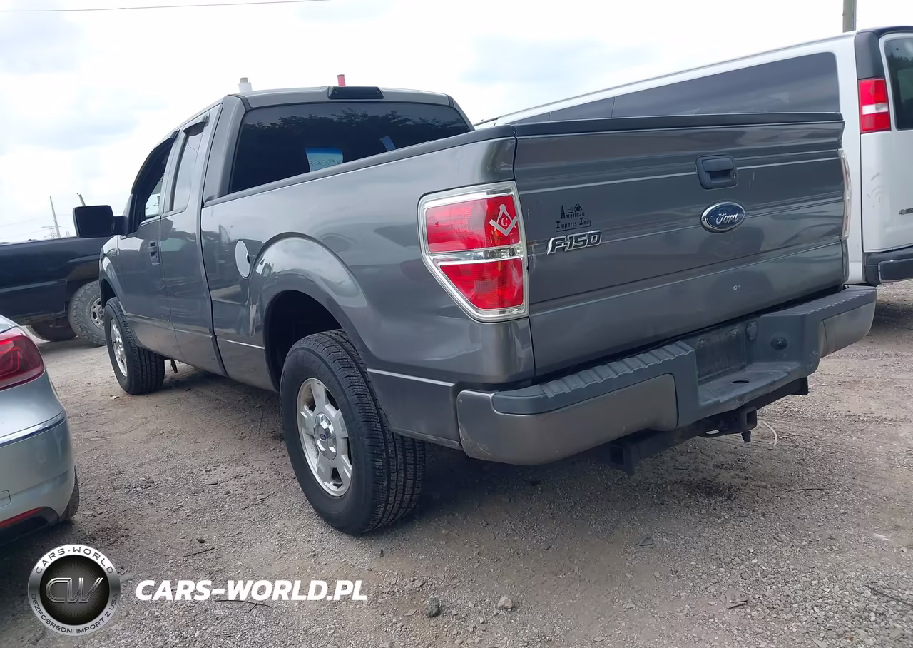 2010 Ford F-150 Stx-Xl VIN:1FTEX1CW9AKE47648 - 3
