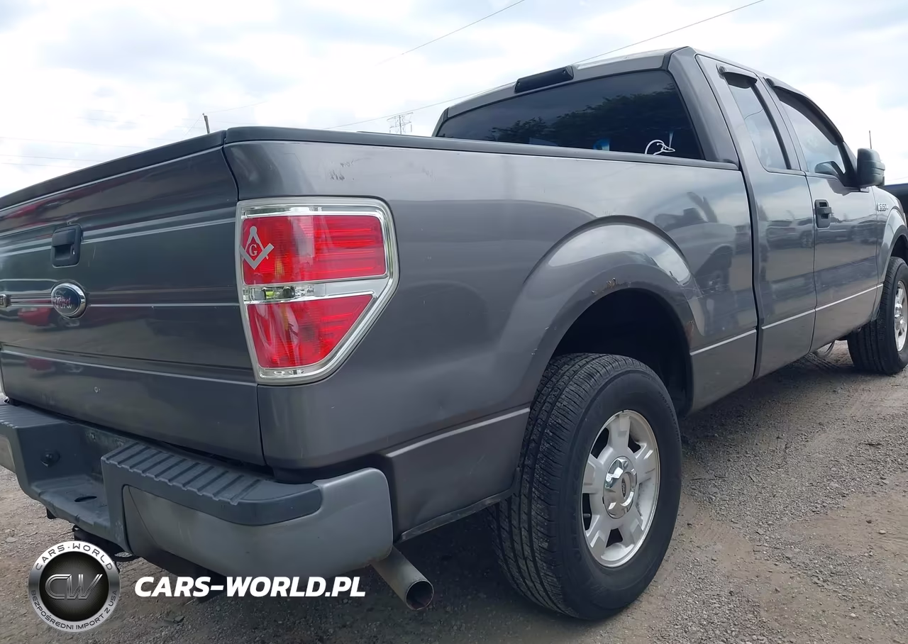 2010 Ford F-150 Stx-Xl VIN:1FTEX1CW9AKE47648 - 6