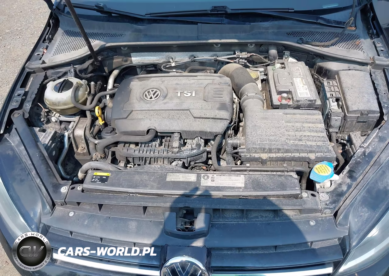 2015 Volkswagen Golf Tsi S 4-Door VIN:3VW217AU8FM029460 - 10