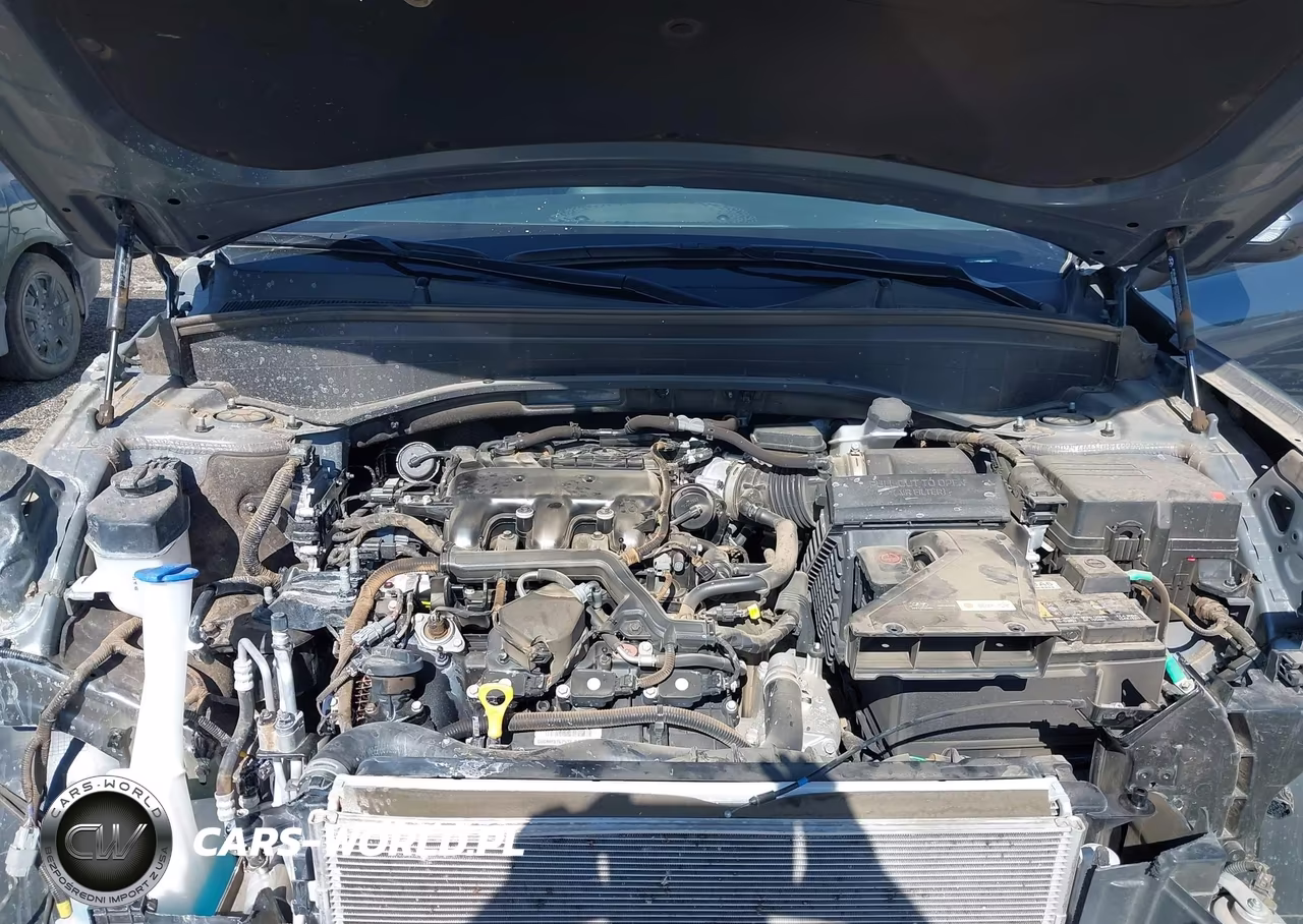 2024 Hyundai Palisade Xrt VIN:KM8R34GE8RU793833 - 10