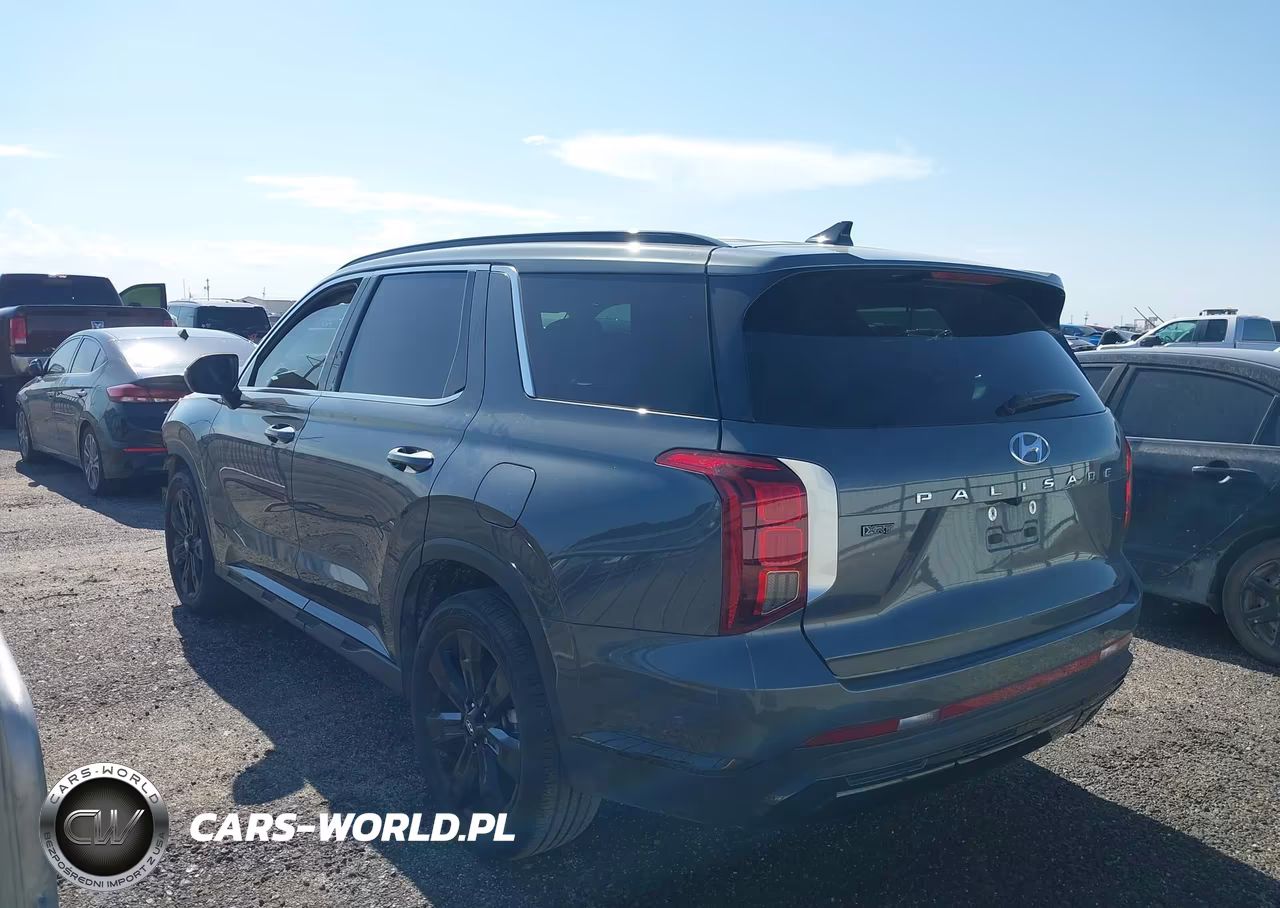 2024 Hyundai Palisade Xrt VIN:KM8R34GE8RU793833 - 3