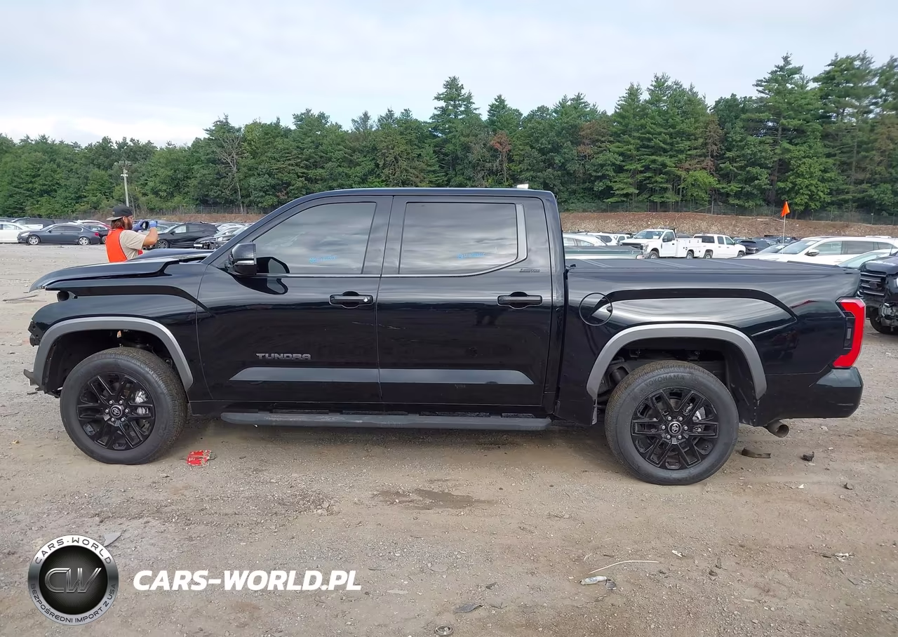 2025 Toyota Tundra Limited VIN:5TFJA5DB0SX282564 - 15