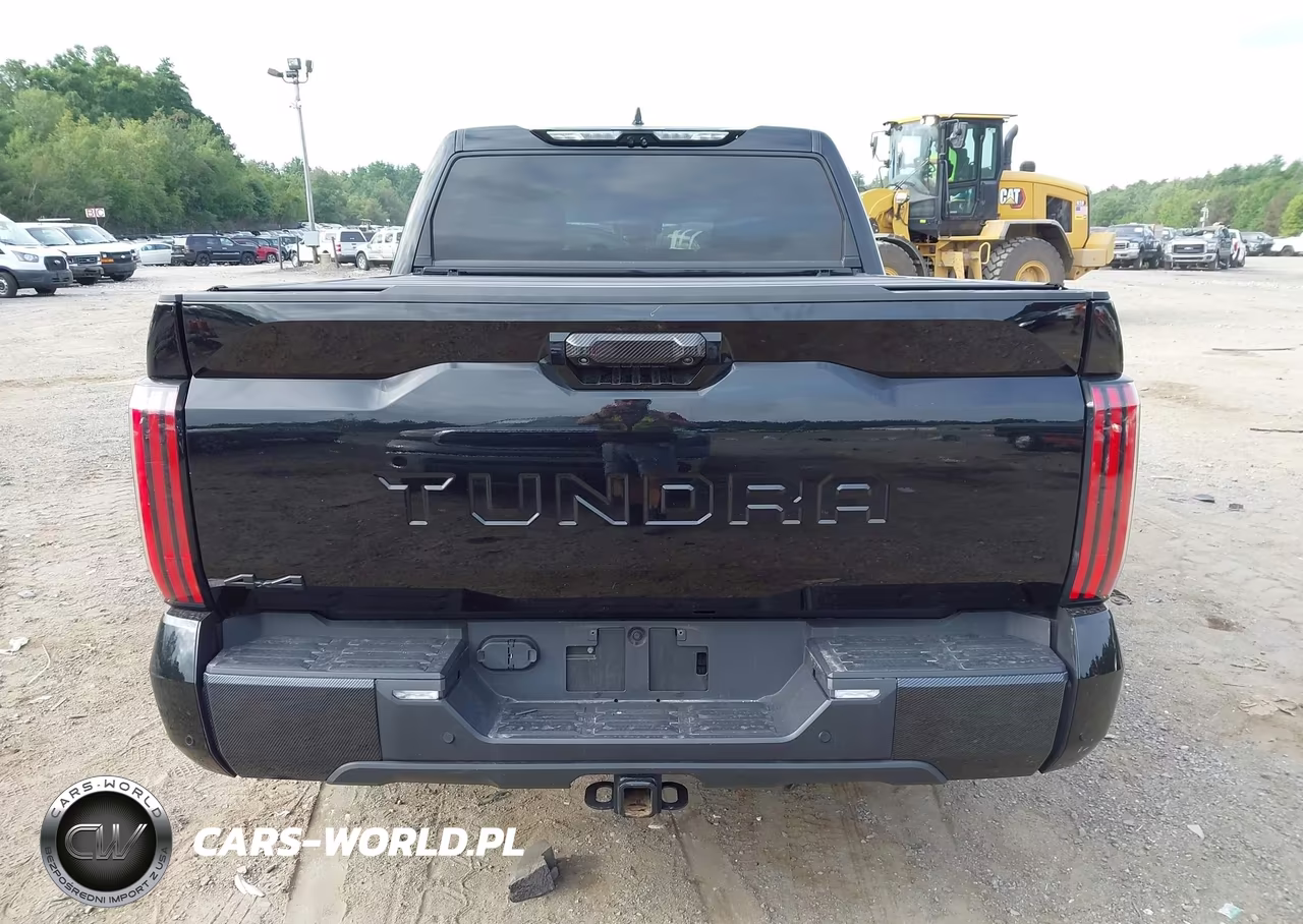 2025 Toyota Tundra Limited VIN:5TFJA5DB0SX282564 - 17