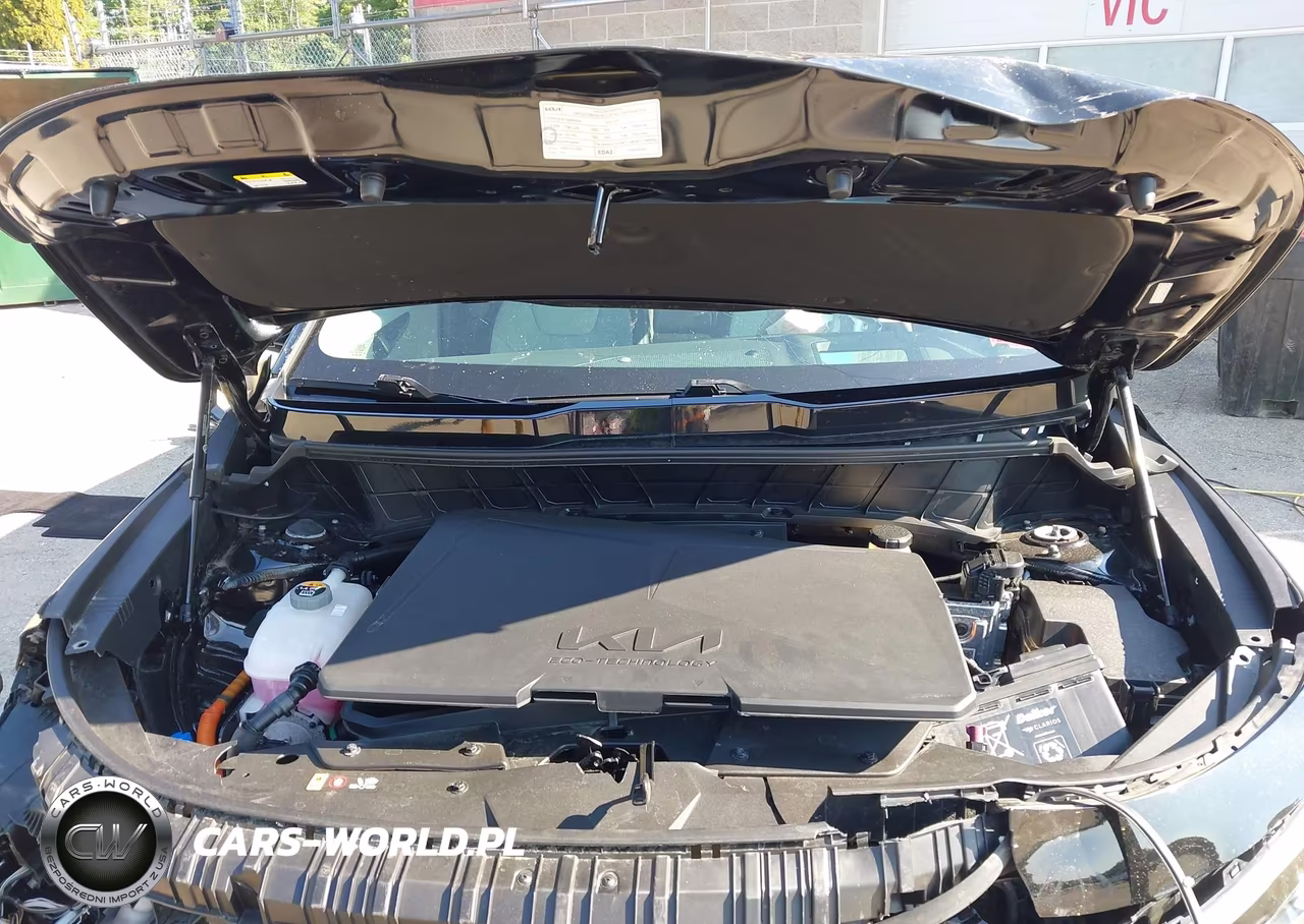 2023 Kia Niro Ev Wave VIN:KNDCT3L1XP5046250 - 10