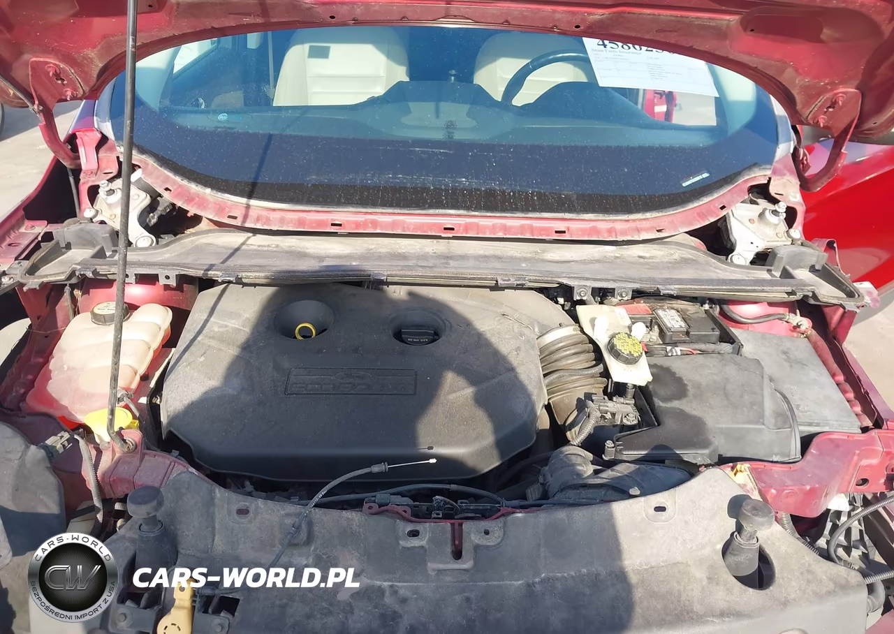 2013 Ford Escape Sel VIN:1FMCU0H97DUB06010 - 10