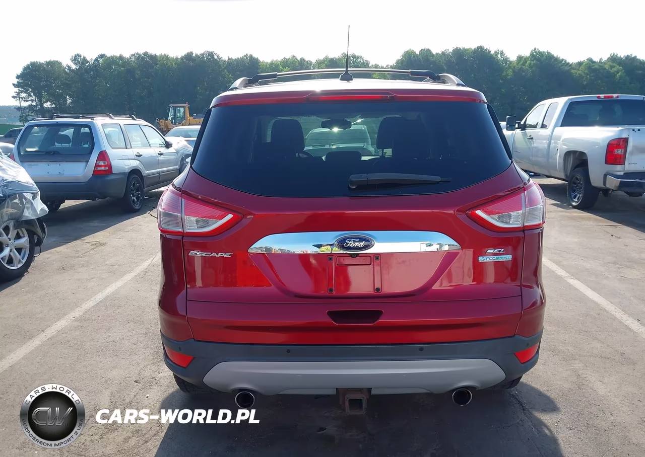 2013 Ford Escape Sel VIN:1FMCU0H97DUB06010 - 17