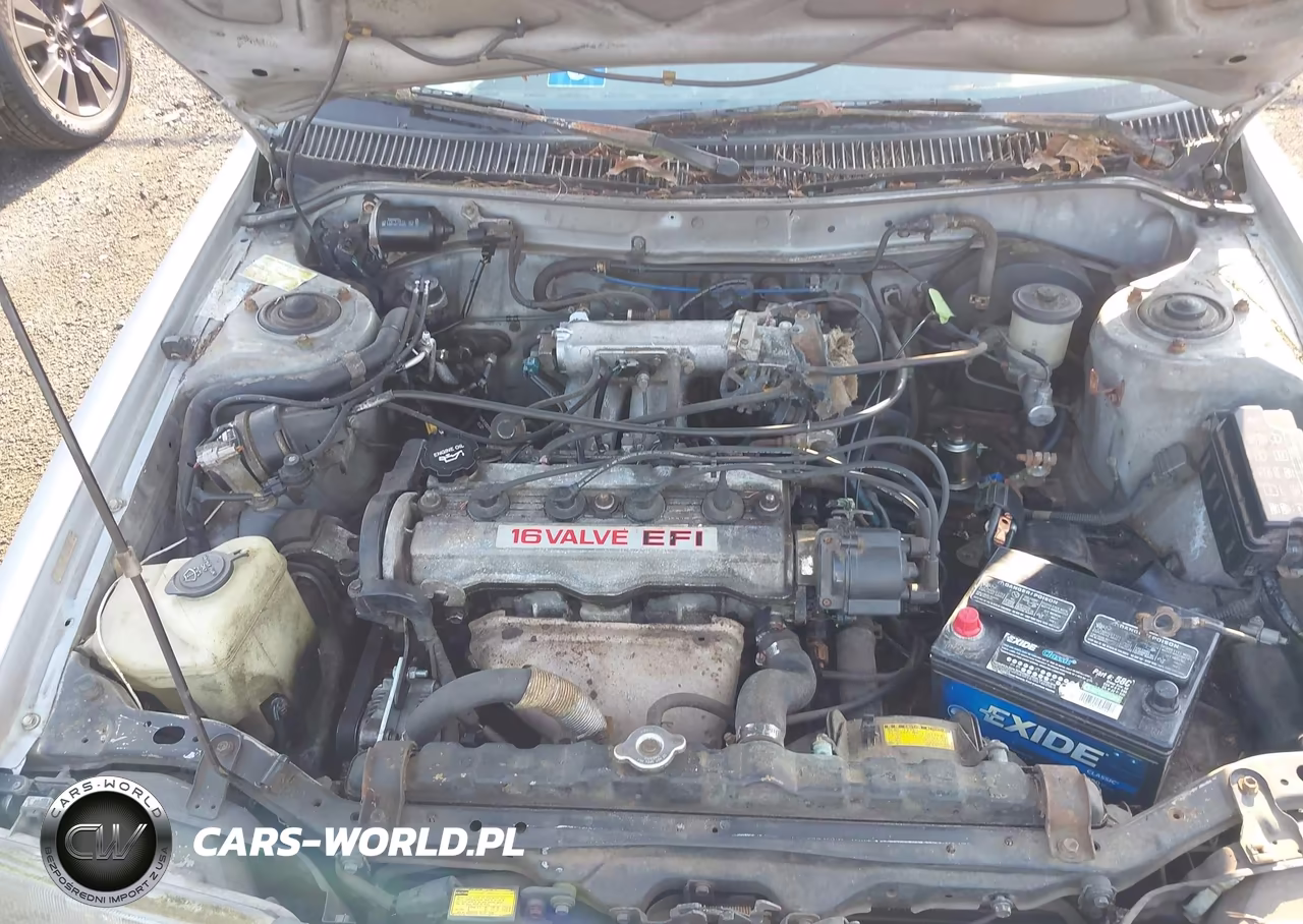 1991 Toyota Corolla Le VIN:JT2AE97AXM3433976 - 10